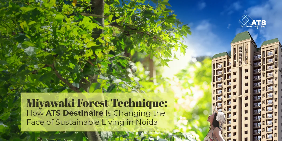 Miyawaki Forest Technique